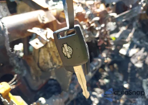 2008 Ford F-250 Fx4/Harley-Davidson/King Ranch/Lariat/Xl/Xlt from USA, damaged, VIN 1FTSW21R18EC56517